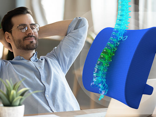 Everlasting Comfort Lumbar Support Pillow for Office Chair - Memory Foam Back Cushion for Car Seat - Promotes Better Posture, Back Pain Relief - Ideal Gaming and Desk Chairs Work and Home Essentials