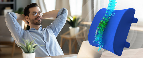 Everlasting Comfort Lumbar Support Pillow for Office Chair - Memory Foam Back Cushion for Car Seat - Promotes Better Posture, Back Pain Relief - Ideal Gaming and Desk Chairs Work and Home Essentials