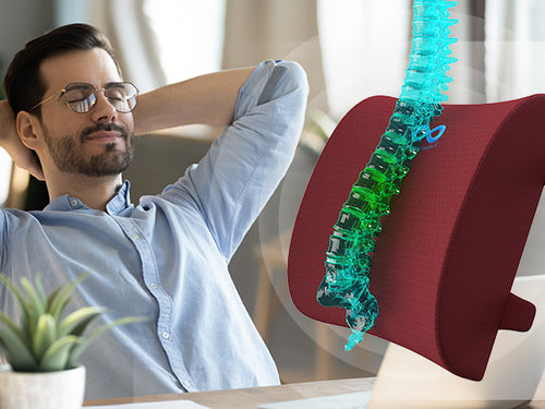 Everlasting Comfort Doctor Recommended Memory Foam Seat Cushion for Office Chairs & Car - Ergonomic Office Desk Accessories - Cushions for Tailbone Pain Relief, Sciatica & Back Support Pillow