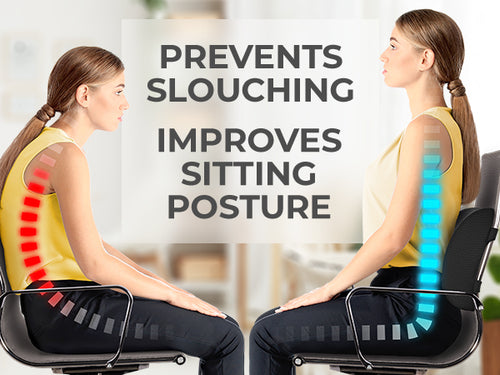 Everlasting Comfort Lumbar Support Pillow for Office Chair - Memory Foam Back Cushion for Car Seat - Promotes Better Posture, Back Pain Relief - Ideal Gaming and Desk Chairs Work and Home Essentials