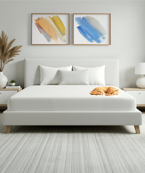 King Waterproof Mattress Protector and 2 Free Pillow Protectors