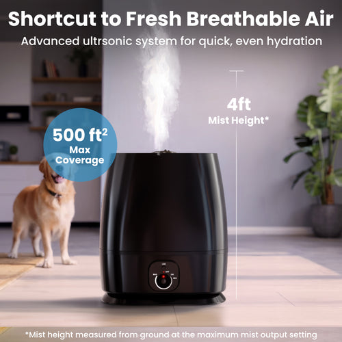 Humidifier 6L Black 2025