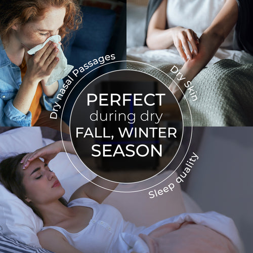 EVERLASTING COMFORT 4L HUMIDIFIER