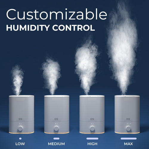 EVERLASTING COMFORT 6L HIGH MIST HUMIDIFIER
