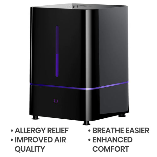 EVERLASTING COMFORT 4L HUMIDIFIER