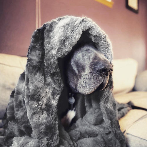 Luxury Faux Fur Throw Blanket