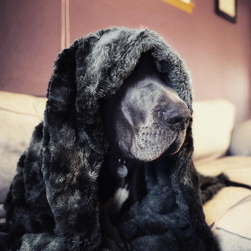 Luxury Faux Fur Throw Blanket