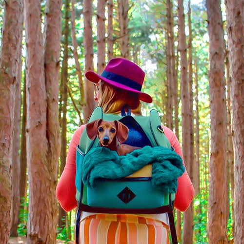 Luxury Faux Fur Throw Blanket